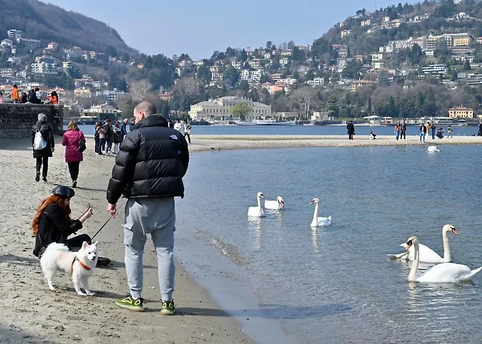 Lakesweetlakecomo شقة *