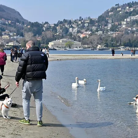 Lakesweetlakecomo Lägenhet *